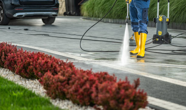 Best Roof Washing  in Bridgeport, WA